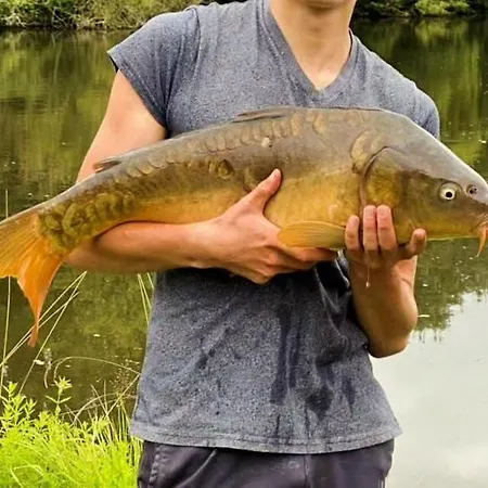 Jaktstuga Au Bord De L'eau Les Logis De L'oumois *