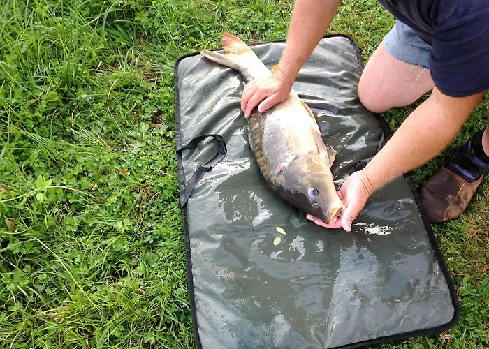 Au Bord De L'eau Les Logis De L'oumois * Maulévrier